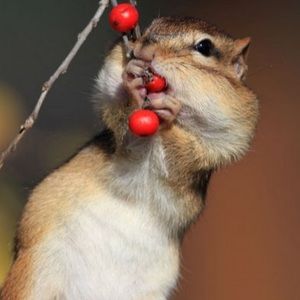 Meet your Posher, Alissa